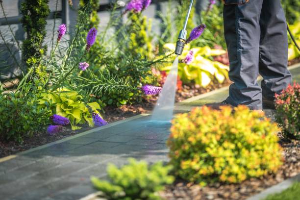 Best Animal Enclosure Cleaning  in Ashland, PA