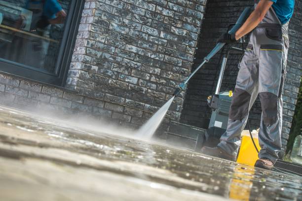 Animal Enclosure Cleaning in Ashland, PA